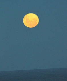 Super Moon May 2012 021