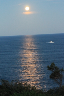 Super Moon May 2012 027