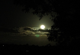 The Super Moon May 2012 002