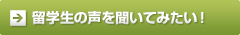 留学生の声を聞いてみたい！